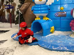 -长沙湘江冰雪世界