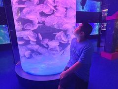 -左海海底世界