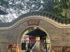 -侨美·唐荔园·40年地道粤菜