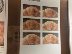-西安大唐西市博物馆