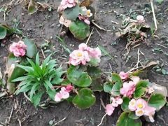 -长春公园(普阳街道)