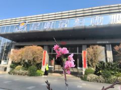 -昆明国际花卉拍卖交易中心