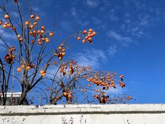 -辛庄国际文化艺术区