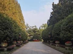 -上海虹桥迎宾馆