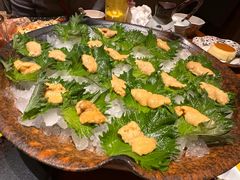 -月龍吟(朝龙汇店)