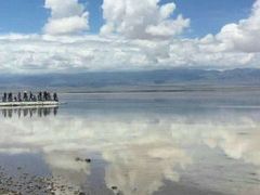 -青海茶卡盐湖文化旅游发展股份有限公司