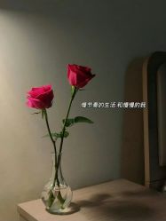 -甲·铺轻奢美甲美睫