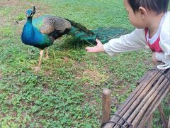 -昆明动物园