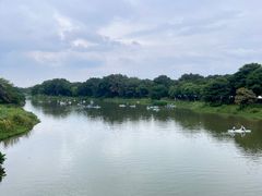 -海珠湖公园