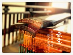 -月栖华明-云间草堂清茶馆(泗泾古镇店)
