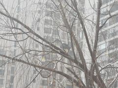 -苏州河梦清园环保主题公园