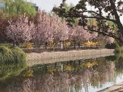 -元大都城垣遗址公园