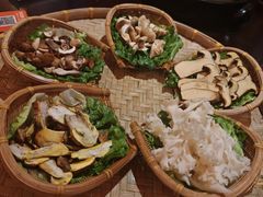 -滇野云南野生菌餐厅(陕西南路店)