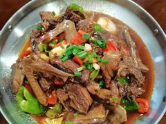 -龙小海荆沙鸽子店(瑞安街店)
