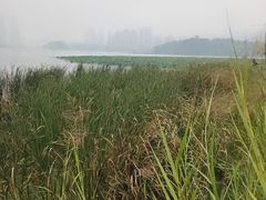 -梅溪湖城市岛