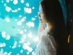 -合肥海洋世界
