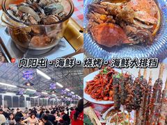 -日照海滨国家森林公园