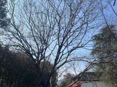 -河姆渡遗址博物馆