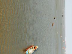 -上海吴淞炮台湾国家湿地公园