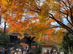 -常寂光寺