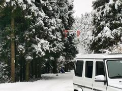 -武陵山森林公园