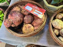 -滇铺子·云南特色菜·第九届野生菌美食节(东风东路c86店)