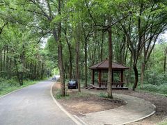 -青龙山国家森林公园