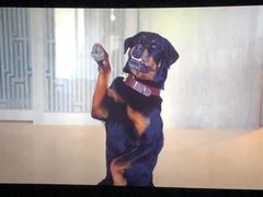 -环球国际影城(天鸿广场LUXE巨幕店)