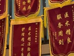 -半岛宠物医院24小时·内窥镜·牙科·碎石中心(府城大道店)