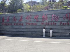 -青藏高原野生动物园