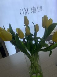 点击看大图 -OM瑜伽教练培训学院