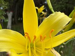 -青藏高原野生动物园