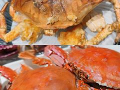 -大锅强·蒸海鲜青岛菜(吾悦广场店)