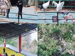 -南昌动物园