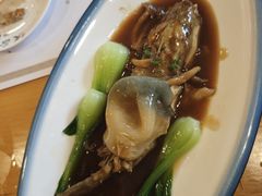 -天正河鲀·河豚亭(大连店)