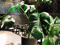 -BeauTea水仙(coco park店)