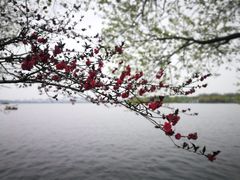 -浙江西子宾馆·瑶园咖啡厅