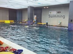 -酷游亲子游泳中心