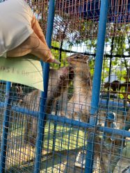 -萌宠亲子动物乐园(槐房万达店)