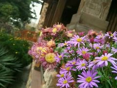 -上海多利农业发展有限公司