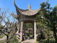 -亭林公园