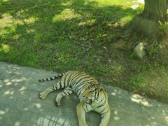 -西安秦岭野生动物园