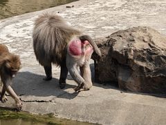 -上海动物园(地铁站)