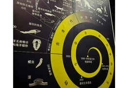 -中国西峡恐龙遗迹园