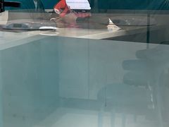 -睿金宠物医院·CT·肿瘤·骨外科