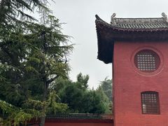 -洛阳白马寺