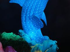 -珠海长隆海洋王国