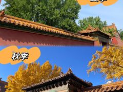 -故宫博物院(故宫)