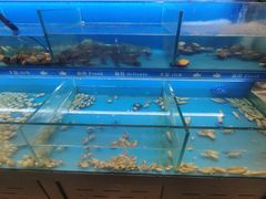 -太湖饭店玉兰厅(自助餐厅)