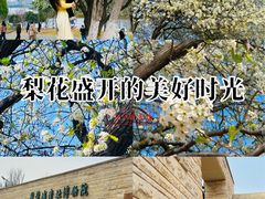 -盘龙城国家考古遗址公园